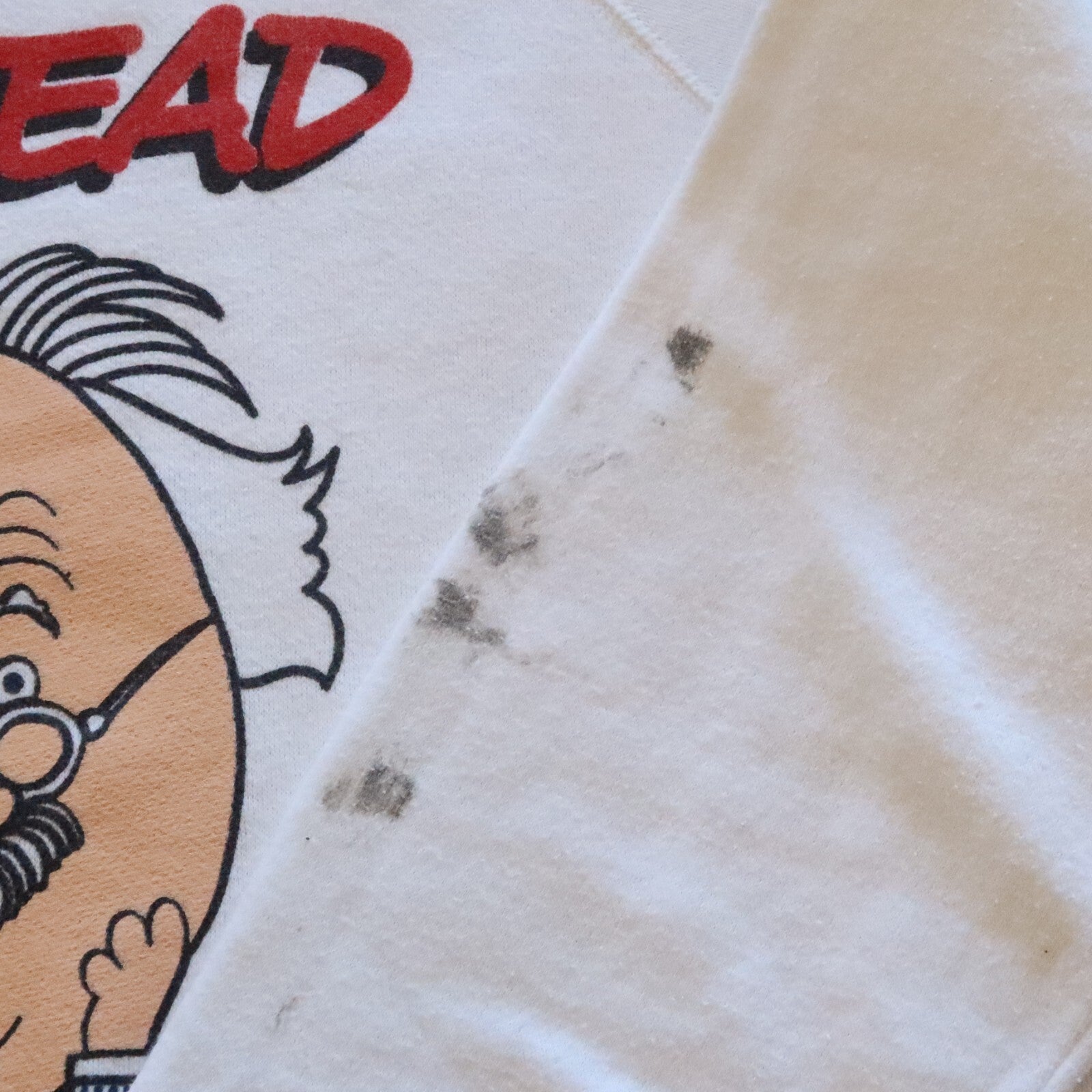 Vintage 80s Albert Einstein Egghead Software Sweatshirt