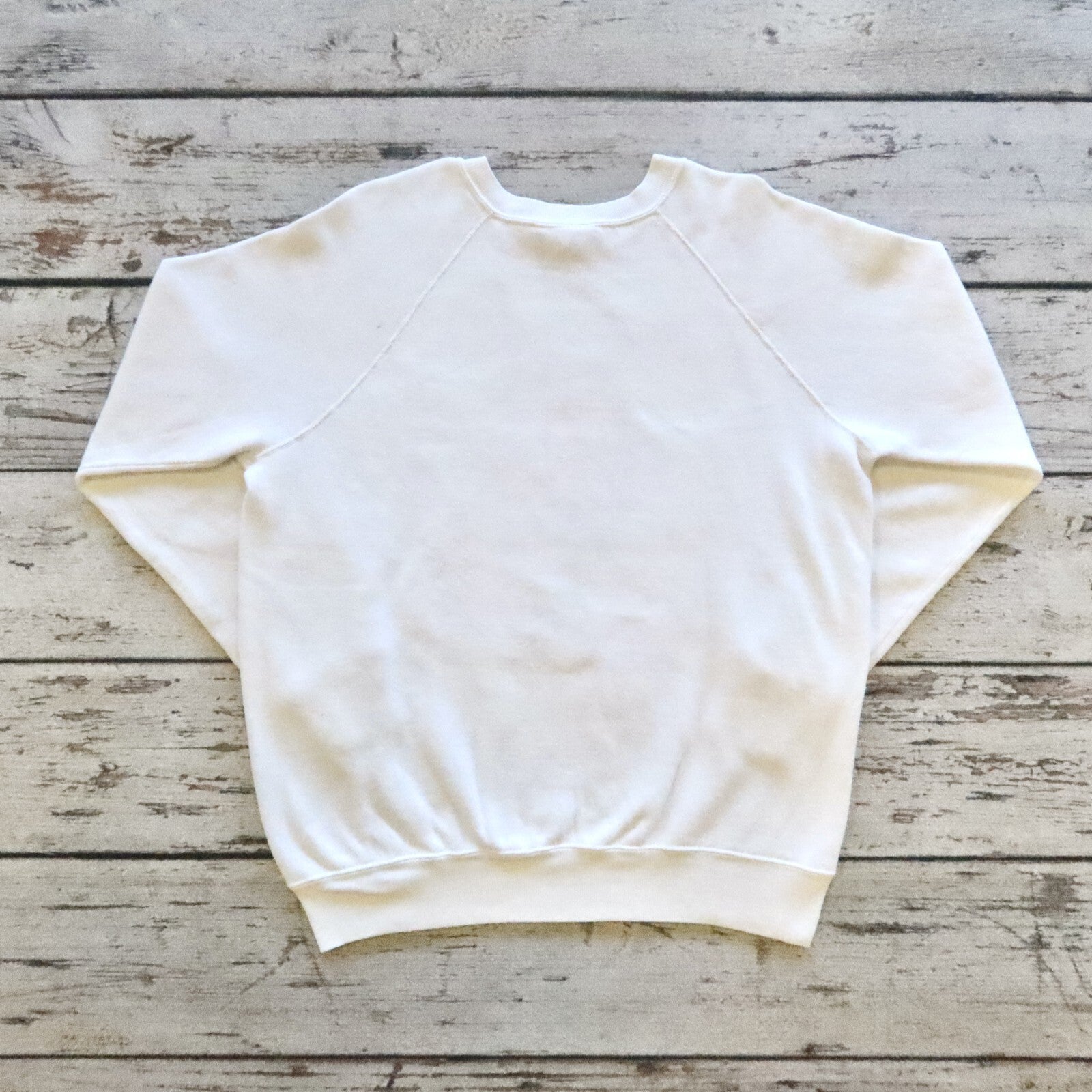 Vintage 80s Albert Einstein Egghead Software Sweatshirt
