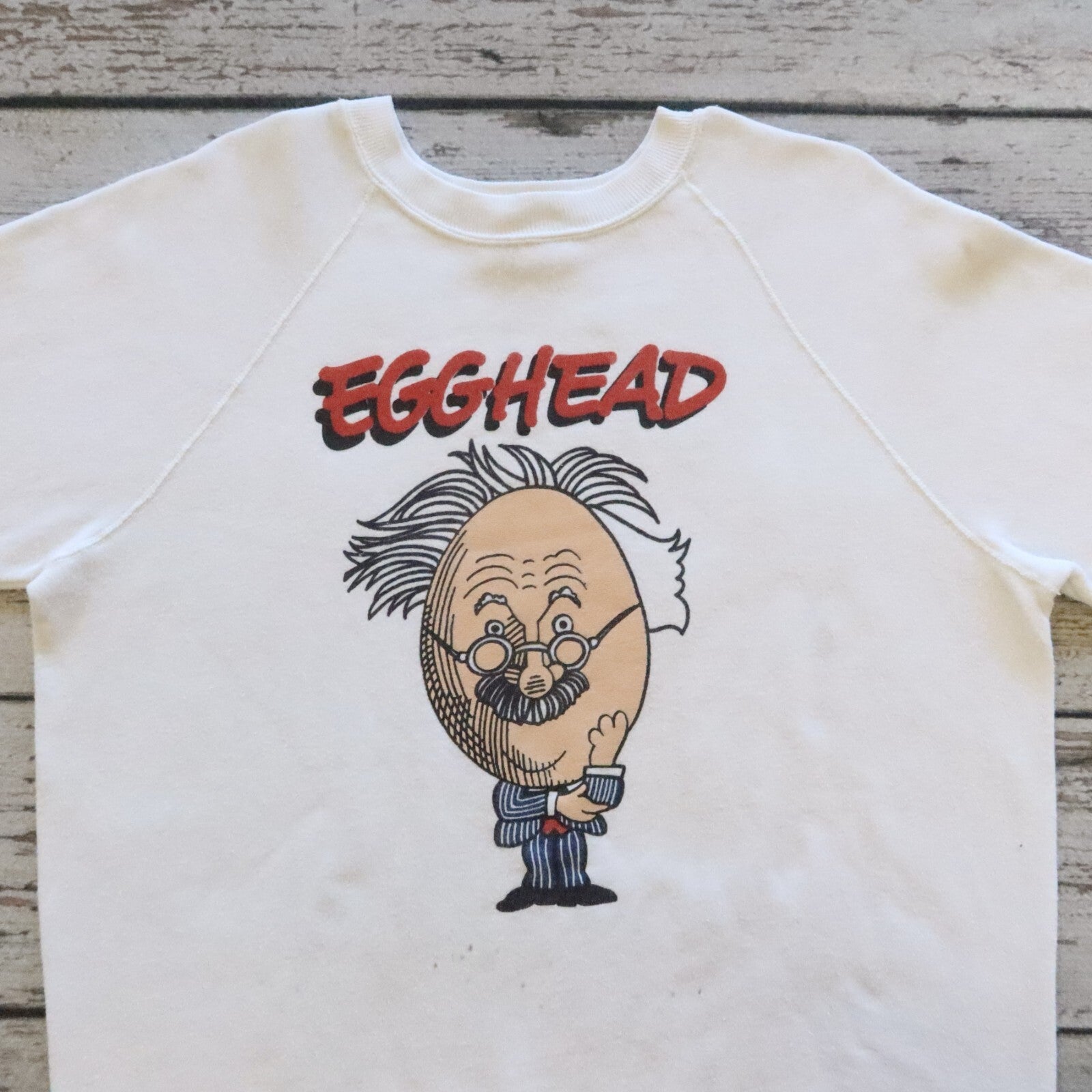 Vintage 80s Albert Einstein Egghead Software Sweatshirt