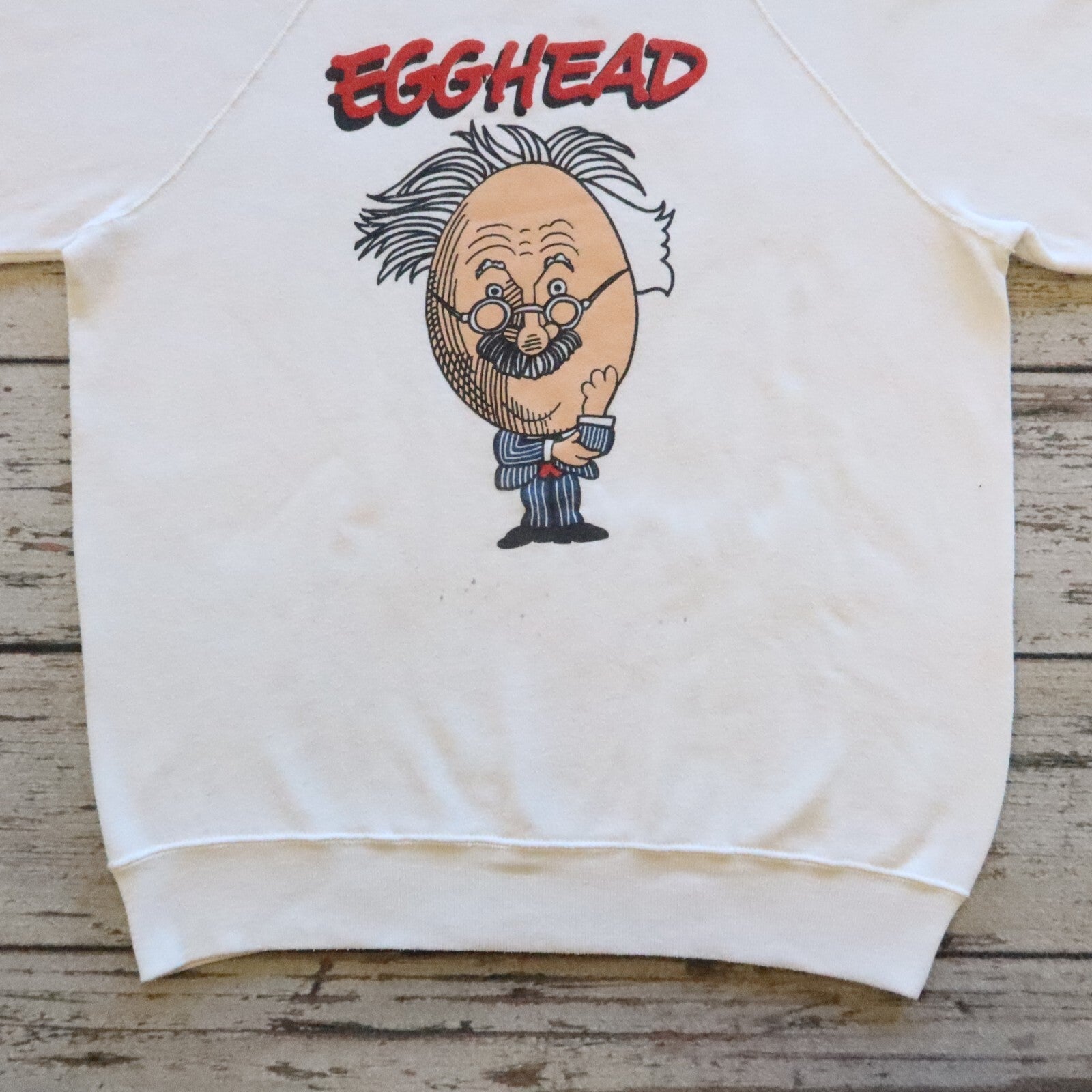 Vintage 80s Albert Einstein Egghead Software Sweatshirt