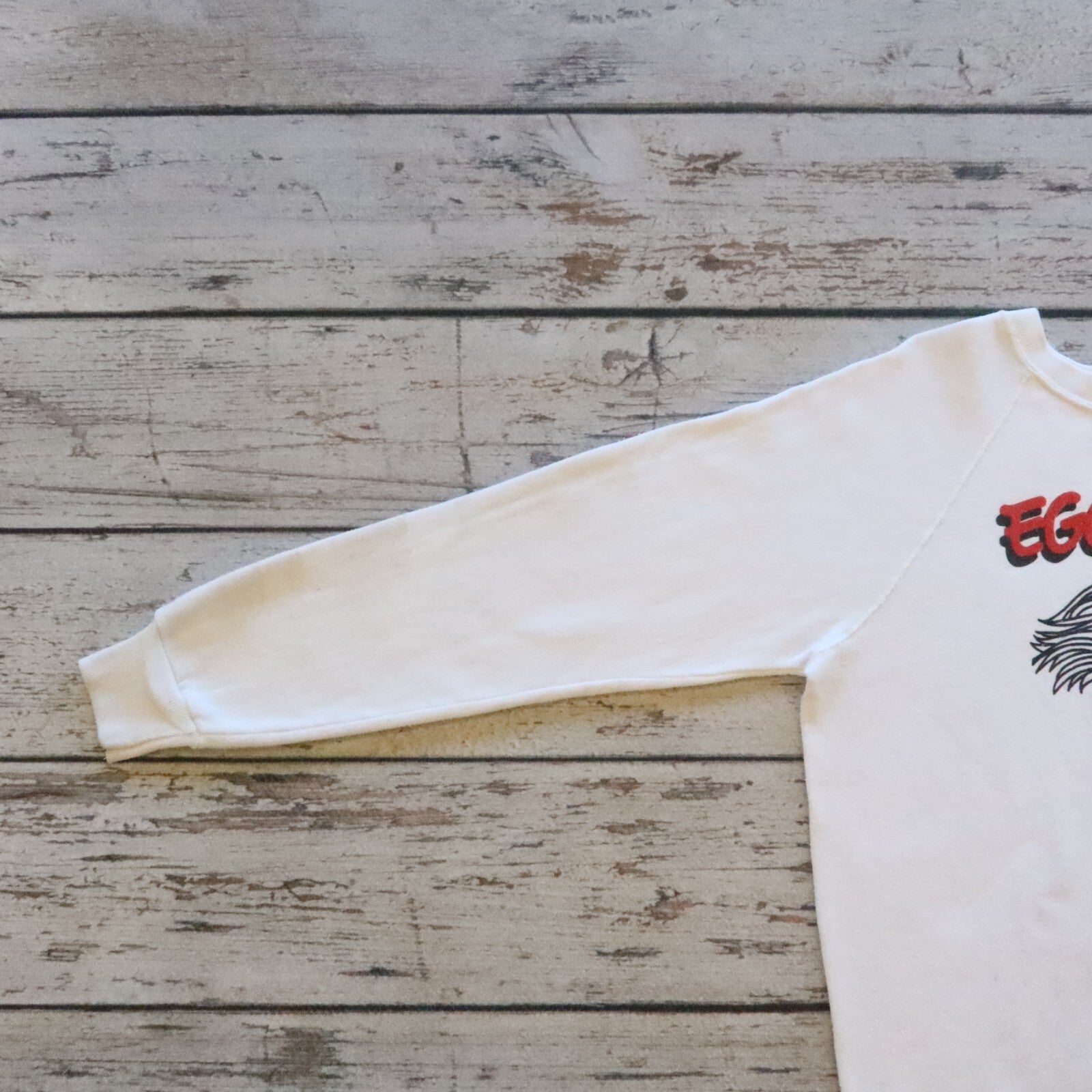 Vintage 80s Albert Einstein Egghead Software Sweatshirt