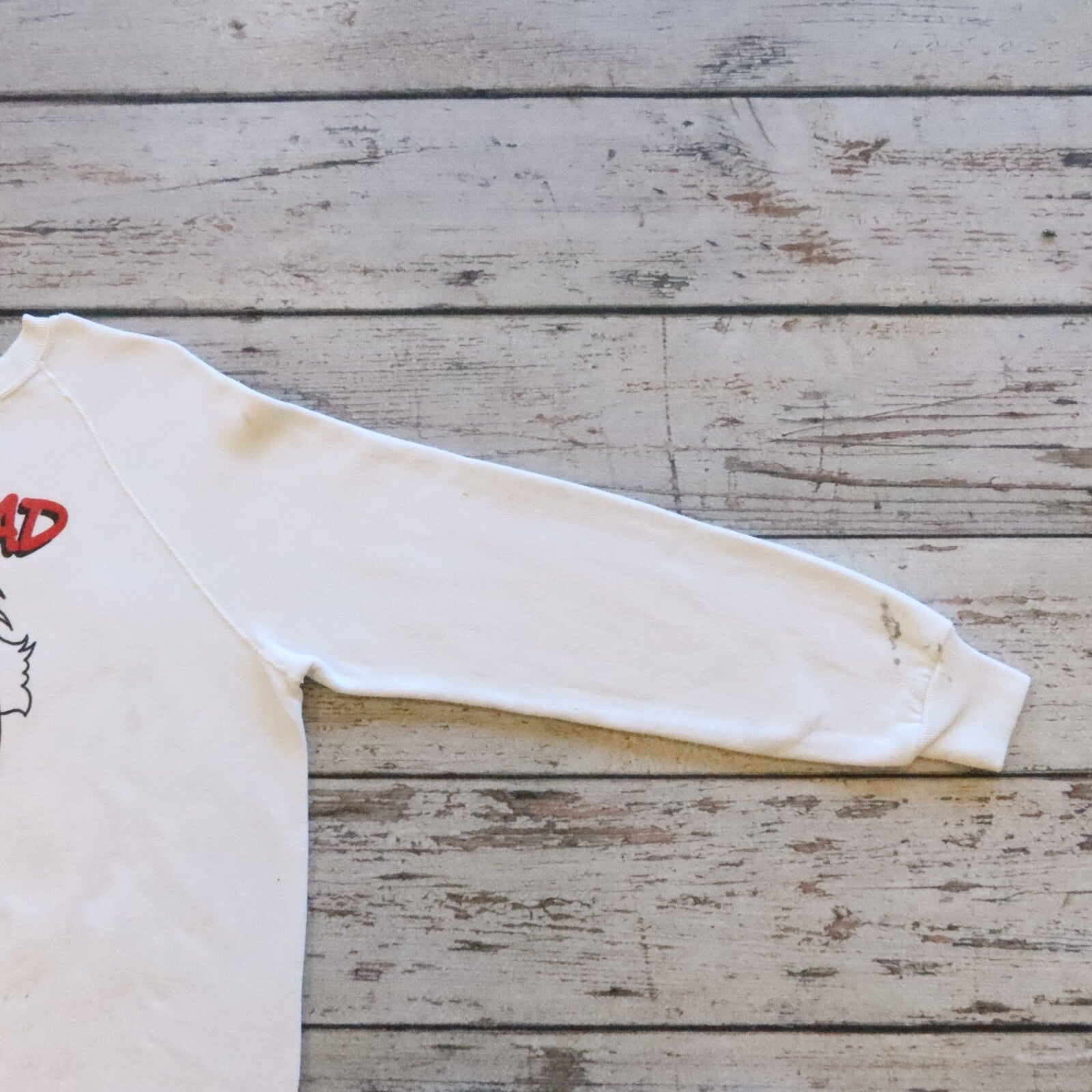 Vintage 80s Albert Einstein Egghead Software Sweatshirt