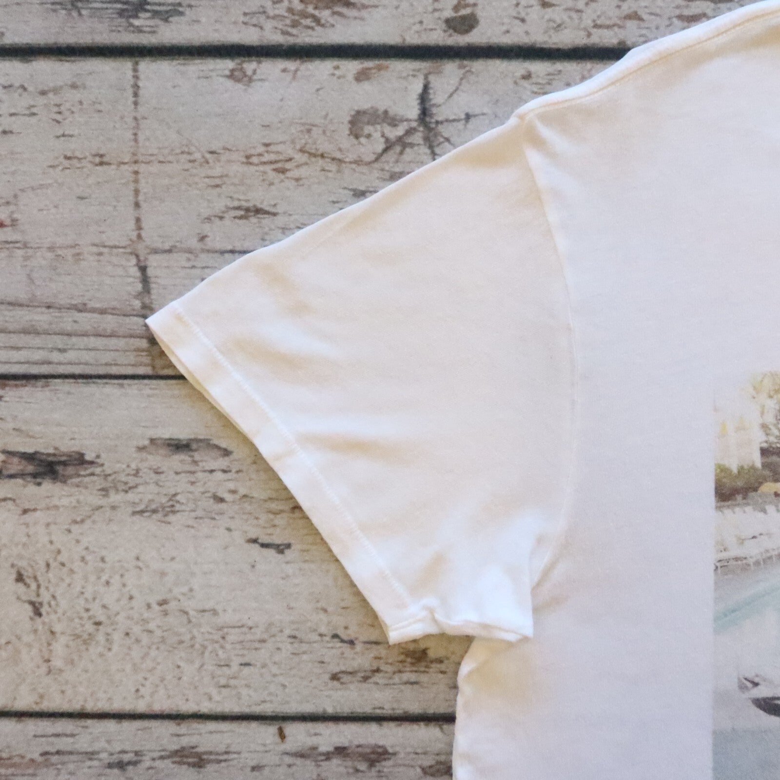 Anine Bing Lili Tshirt Shirt Faye Dunaway Terry O'Neill 2020 Size L